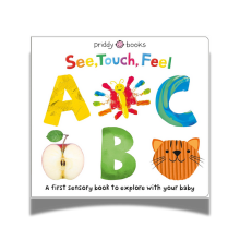 See, Touch, Feel Baby Book